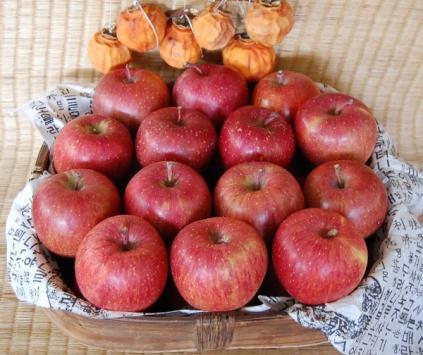 둘리네 마루사과부사 선물용(5kg-16과내)